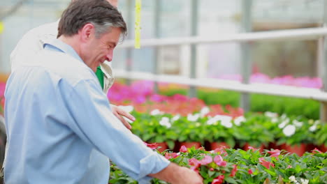 Gardener-talking-to-a-customer