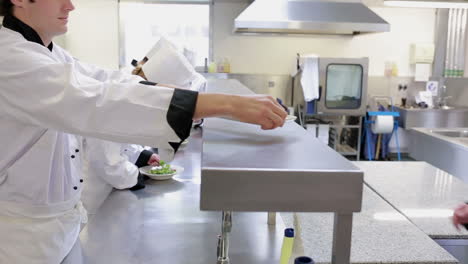 Chefs-preparing-a-meal-at-a-counter