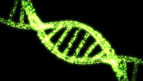 Appearing-and-dissapearing-DNA-helix