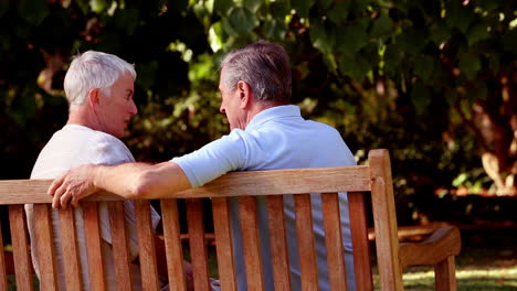 Mature-couple-discussing-together-on-a-bench