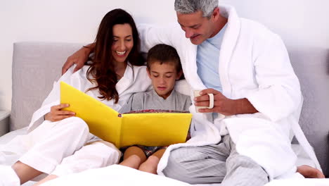 Parents-and-their-son-reading-book