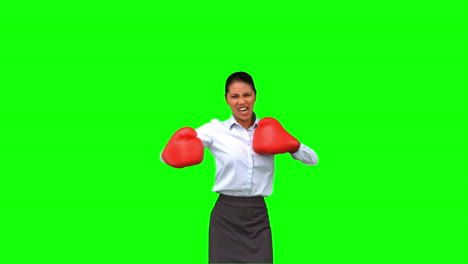 Entschlossene-Geschäftsfrau-Gestikuliert-Mit-Boxhandschuhen-Auf-Greenscreen