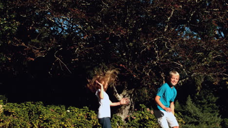 Cheerful-siblings-bouncing-on-a-trampoline