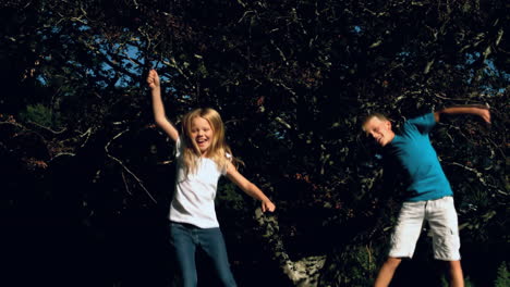 Brother-and-sister-jumping-together-on-a-trampoline-