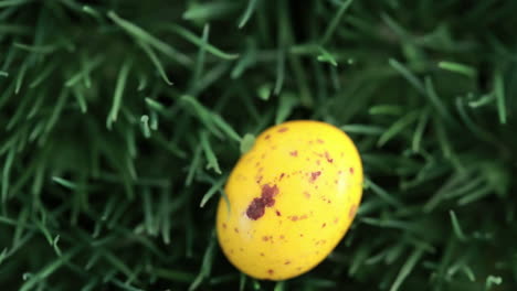 Yellow-easter-eggs