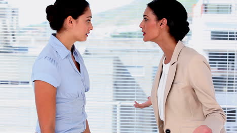 Geschäftsfrauen-Streiten