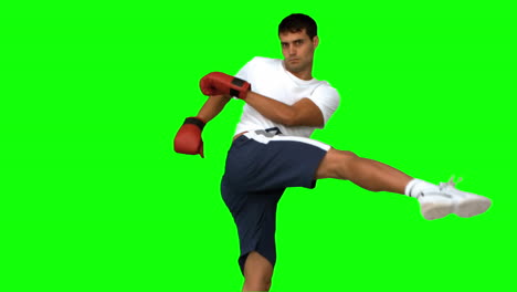 Boxer-performing-an-air-kick-on-green-screen