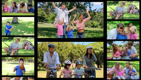 Montage-of-families-having-fun-in-the-park