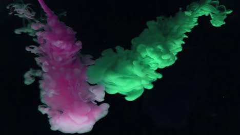 Green-and-purple-paint-dropping-in-water-on-black-background