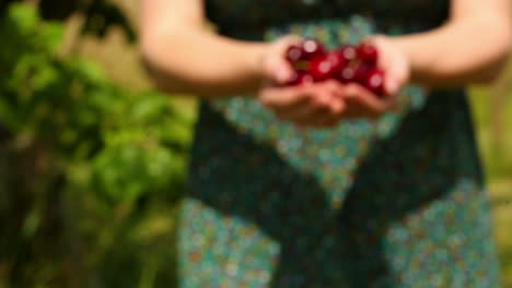 Nahaufnahme-Einer-Frau,-Die-Mit-Kirschen-In-Der-Hand-Zur-Kamera-Geht