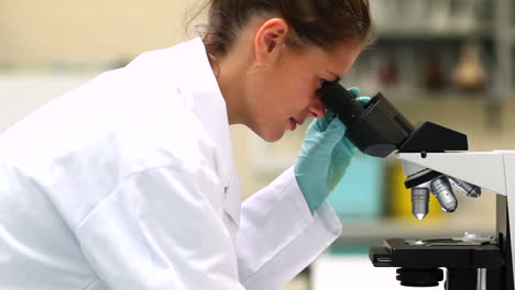 Estudiante-De-Ciencias-Mirando-A-Través-Del-Microscopio