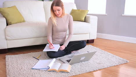 Teen-drawing-taking-her-inspiration-from-a-picture-on-her-laptop