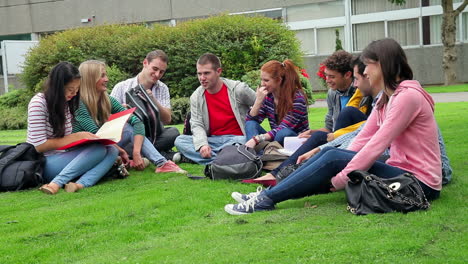 Estudiantes-Sentados-En-El-Césped-Juntos-Charlando