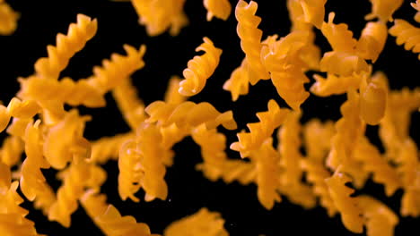 Fusilli-bouncing-against-black-background