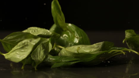 Basil-leaves-falling-onto-black-surface