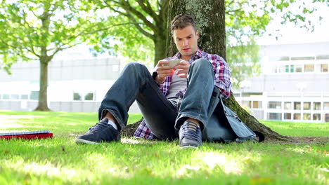 Joven-Estudiante-Sentado-En-El-Césped-Enviando-Mensajes-De-Texto