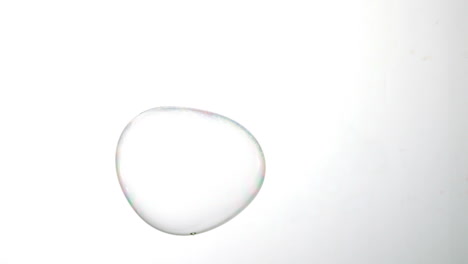 Giant-bubble-floating-on-white-background