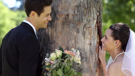 Felices-Recién-Casados-Posando-En-El-Parque-Junto-A-Un-árbol