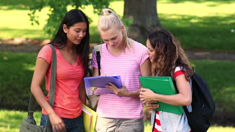 Studenten-Unterhalten-Sich-Draußen