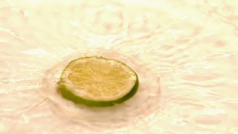 Slice-of-lime-falling-on-white-wet-surface