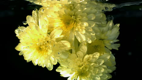 Yellow-flowers-falling-into-water