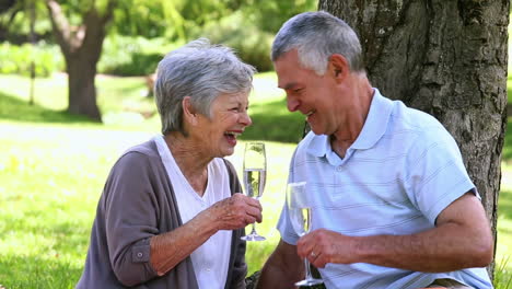 Una-Pareja-Mayor-Relajándose-En-El-Parque-Juntos-Tomando-Champán