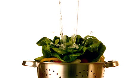 Water-pouring-over-salad-in-colander-