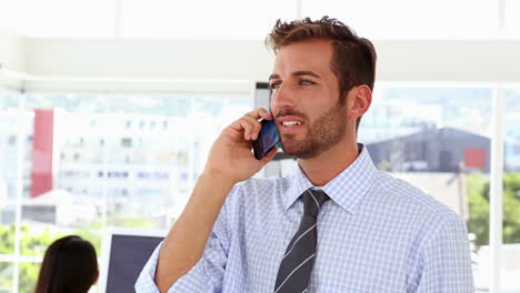 Man-talking-on-phone-while-colleague-works-behind-him