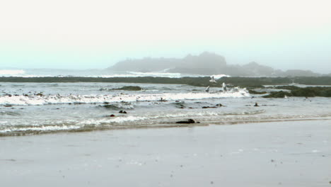 Olas-Rodando-En-La-Playa