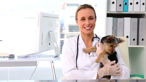 Vet-holding-a-yorkshire-terrier