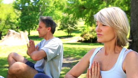 Paar-Macht-Zusammen-Yoga-Im-Park