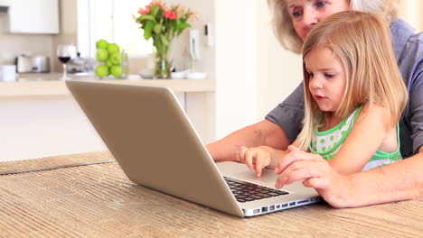 Großmutter-Benutzt-Laptop-Mit-Ihrer-Enkelin