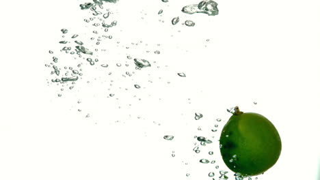 Lime-plunging-into-water-on-white-background