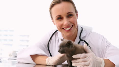 Veterinario-Revisando-Un-Gatito-Gris