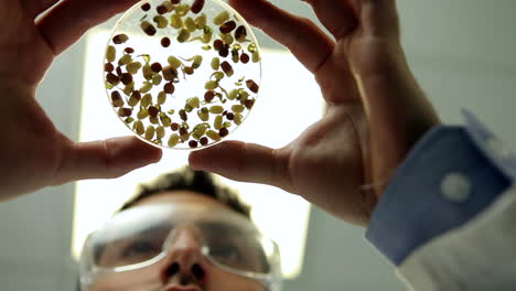 Low-angle-view-of-petri-dish-with-seedlings