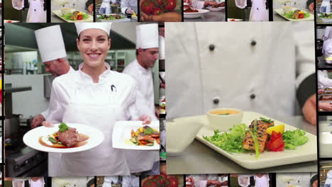 Professional-chefs-at-work-montage