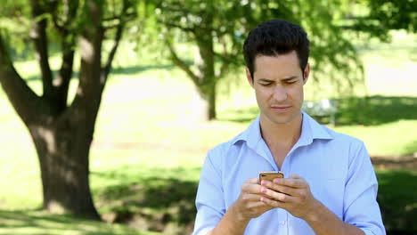 Hombre-Guapo-Enviando-Un-Mensaje-De-Texto-En-El-Parque