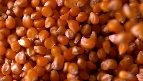 Popcorn-kernels-pouring-onto-more