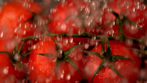 Agua-Lloviendo-Sobre-Tomates-Cherry