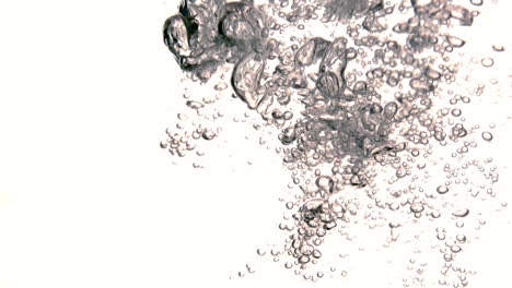 Bubbles-in-water-on-white-background