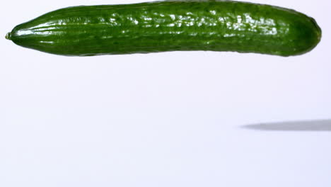 Courgette-falling-on-white-background