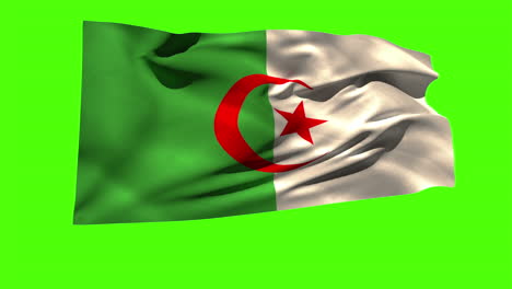 Algeria-national-flag-blowing-in-the-breeze