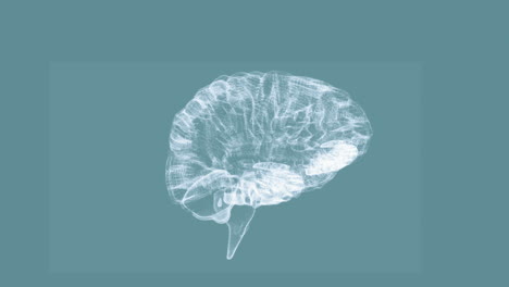 Revolving-transparent-human-brain-graphic-