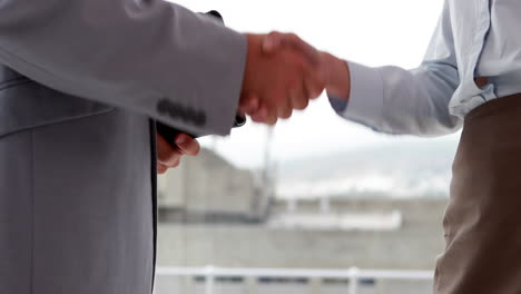 Business-people-shaking-hands-by-large-window