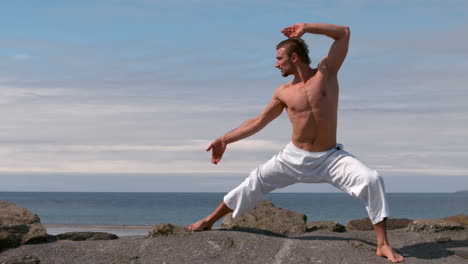 Martial-arts-expert-practicing-by-the-coast