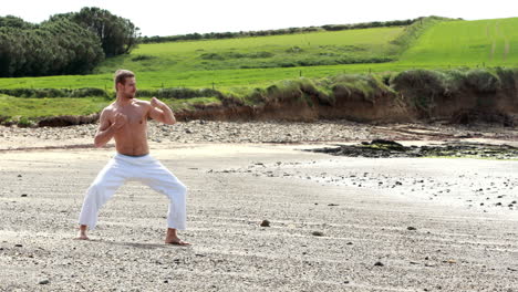 Fit-shirtless-man-practicing-martial-arts