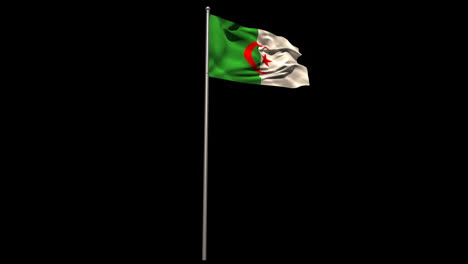 Algeria-national-flag-waving-on-flagpole