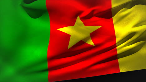 Large-cameroon-national-flag-waving-