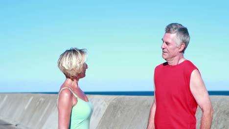 Fit-senior-couple-chatting-on-a-break-from-their-run