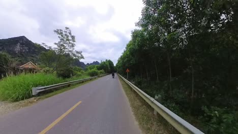 Las-Exuberantes-Y-Verdes-Carreteras-Que-Atraviesan-La-Provincia-De-Ninh-Binh-Ofrecen-Una-Oportunidad-Increíble-Para-Experimentar-La-Belleza-Natural-De-Vietnam-Con-Vegetación.